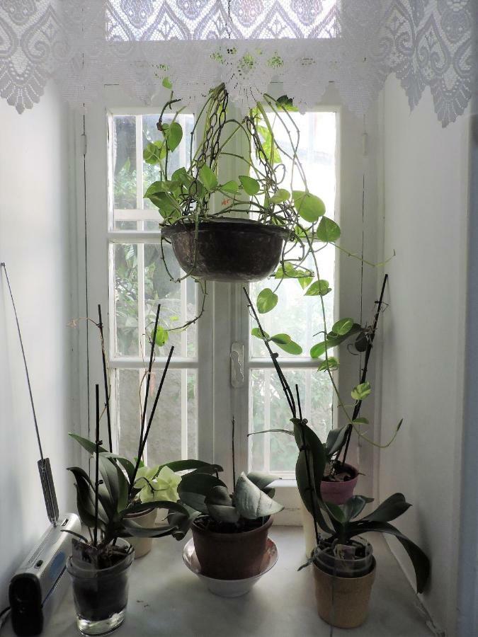 Casa Oliver Appartement